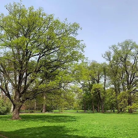 Stylowy Park Wawrzyniaka Lägenhet *