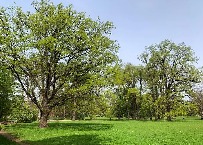 Stylowy Park Wawrzyniaka Apartmán *